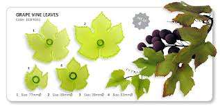 Grape vine leaf fondant cutter