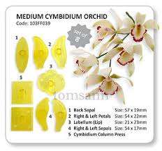 Medium cymbidium orchid fondant cutter