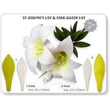 St Josephs lily and star gazer fondant cutter