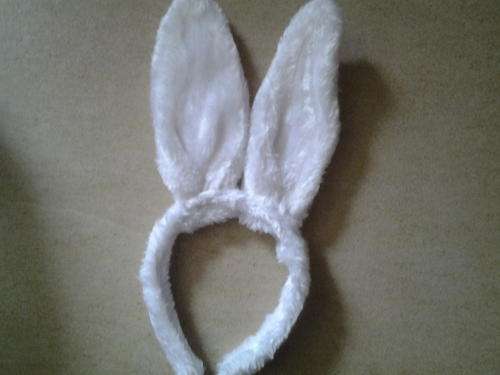 Bunny ears, perfect for a party or concert