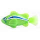 Robo fish
