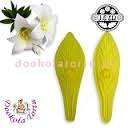 St Josephs lily and star gazer fondant cutter
