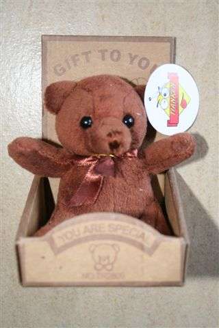 Teddy in box