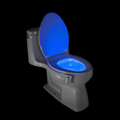 LED Toilet Light with Motion Sensor | Color Changing Night Light | TMT Durban