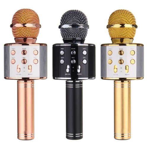 Bluetooth Wireless Voice Changing Microphone Speaker with TF Card Slot