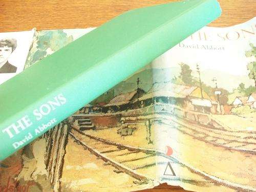 3 STORY BOOKS - DAVID ABBOTT -  THE SONS,  TALLOW and WICK M Phillips,  BLIND FURY - Meg Marais