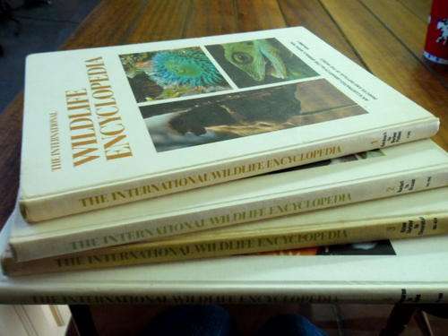 MAURICE BURTON - FOUR  INTERNATIONAL WILDLIFE ENCYCLOPEDIAS 1969 FOUR ILLUS BOOKS