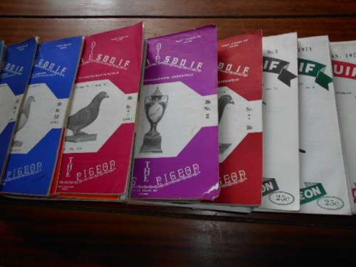 60 MAGAZINES -  DIE WEDVLUGDUIF - THE SOUTH AFRICAN RACING PIGEON/REISIESDUIF - 1967 TO 1979