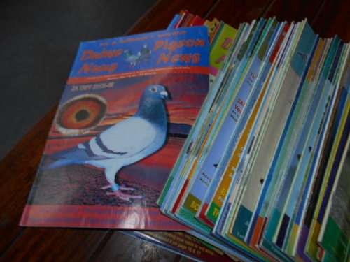 76 GEILLUSTREERDE  POSDUIF/PIGEON RACING MAGAZINES - 1977 - 2014 SUID-AFRIKAANSE POSDUIF-UNIE