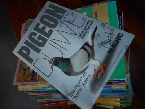 76 GEILLUSTREERDE  POSDUIF/PIGEON RACING MAGAZINES - 1977 - 2014 SUID-AFRIKAANSE POSDUIF-UNIE