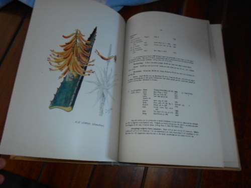 BH GROENEWALD - Die aalwyne van SA, (Aloe macuLatatae) SWA, O-AFRI, Swazil, Basoetoland 1941 hardeb
