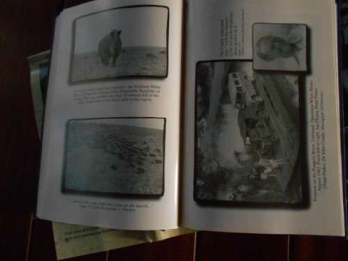 3 books - K Meadows - Sometimes it Rains (biography) D Carney under raging sky and H Bloom Episode