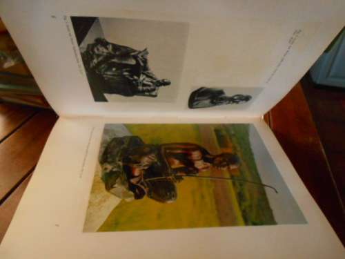 Bokhorst/Martienssen -  S.A KUNS/S.A. ART -  20`Century Art - 1966 - LARGE COL ART  PLATES