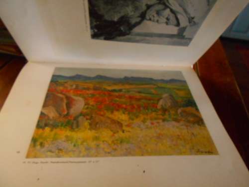 Bokhorst/Martienssen -  S.A KUNS/S.A. ART -  20`Century Art - 1966 - LARGE COL ART  PLATES