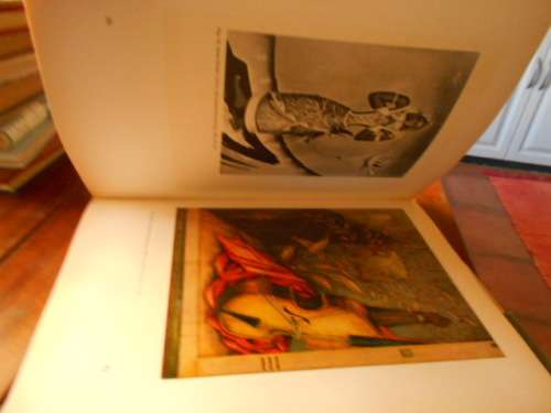 Bokhorst/Martienssen -  S.A KUNS/S.A. ART -  20`Century Art - 1966 - LARGE COL ART  PLATES