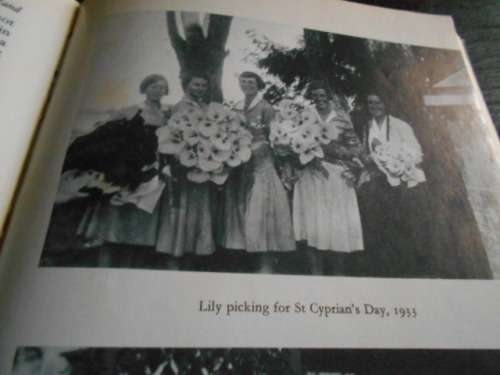 Thomson, D.H. NOT FOR SCHOOL BUT FOR LIFE. Rondebosch Cape St Cyprian`s   autographed