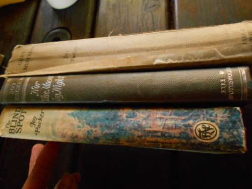 JOY PACKER -3  HARDBACK  NOVELS  - MOON BY NIGHT,  BLIND SPOT,  GREY MISTRESS 1949