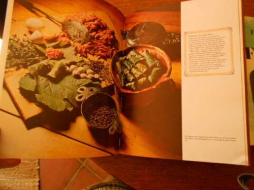 6  S A COOK BOOKS  - SPYS and DRANK, CAPEWINES, BESTENAGEREG, DEEPFREEZE,  CAPEFLAVOUR