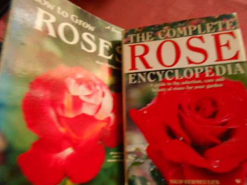 3 ROSE BOOKS - Complete Rose Encyclopedia - Nico Vermeulen, How to grow roses and LOST ROSES