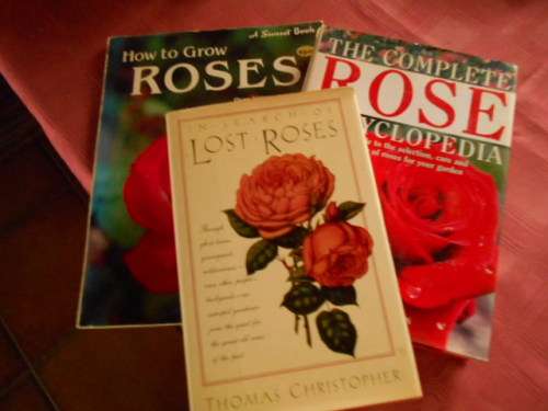 3 ROSE BOOKS - Complete Rose Encyclopedia - Nico Vermeulen, How to grow roses and LOST ROSES