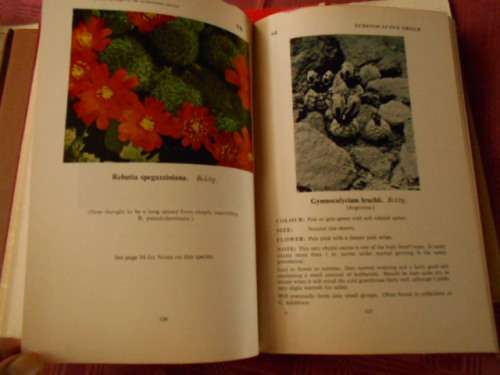 COLLECTORS CACTI -  E BLOOM    and    CACTI and  OTHER SUCCULENTS  E LAMB