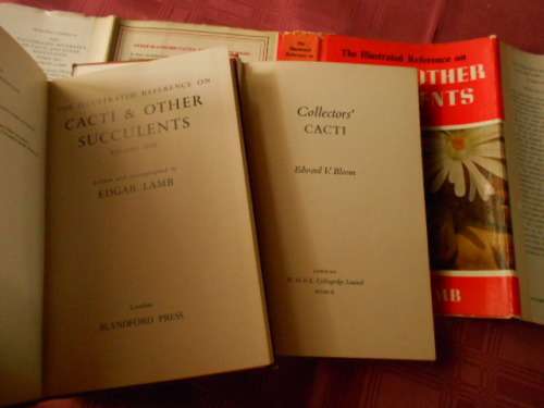 COLLECTORS CACTI -  E BLOOM    and    CACTI and  OTHER SUCCULENTS  E LAMB