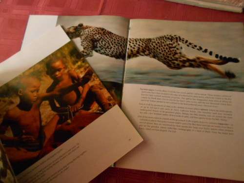 PETER JOYCE - THE MAGIC OF AFRICAN WILDLIFE 1998  and A BANNISTER BUSHMEN