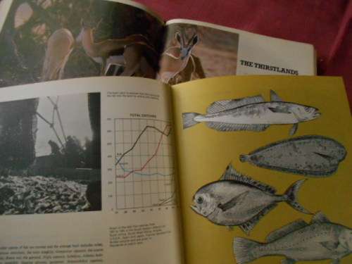 2 BOOKS:GAME PARKS NATURE RESERVES and CONSERVATION HERITAGE Andries du Plessis