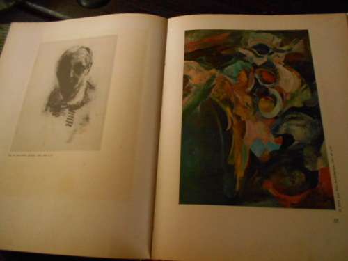 Bokhorst/Martienssen -  S.A KUNS/S.A. ART -  20`Century Art - 1966 - LARGE COL ART  PLATES