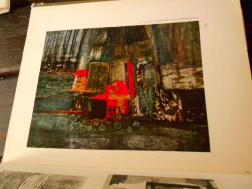 Bokhorst/Martienssen -  S.A KUNS/S.A. ART -  20`Century Art - 1966 - LARGE COL ART  PLATES