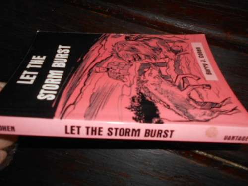 BARRY COHEN - LET THE STORM BURST - Story Based on historical quotes  Vantage Press softback