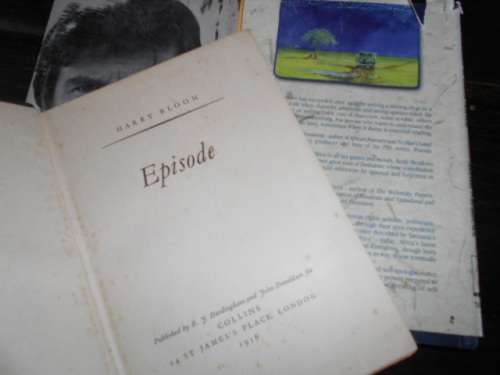 3 books - K Meadows - Sometimes it Rains (biography) D Carney under raging sky and H Bloom Episode