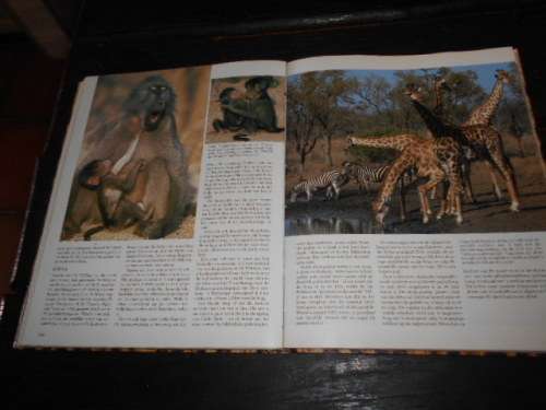 DIE KRUGER WILDTUIN in Woord en Beeld David Paynter met Wilf Nussey 1986 1ste ed Macmillan