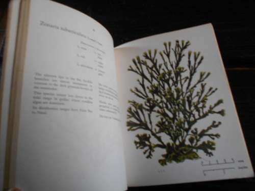 3 TSITSIKAMA NATIONAL COASTAL  PARK BOOKS  SEAWEEDS, FISHES, FLOWERING PLANTS