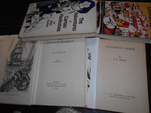 4 books - Adventures Captain Haylestone, Lebanon Adventure, Dangerous Creek and The golden monkey