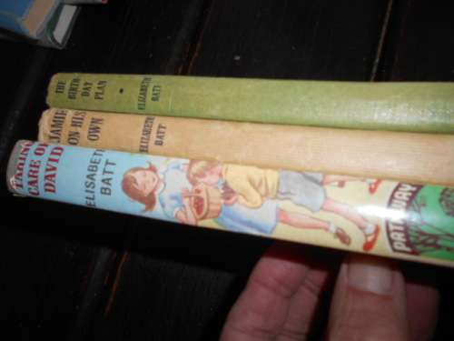 3 ELISABETH BATT BOOKS:  THE BIRTHDAY PLAN, JAMIE and  TAKING CARE OF DAVID