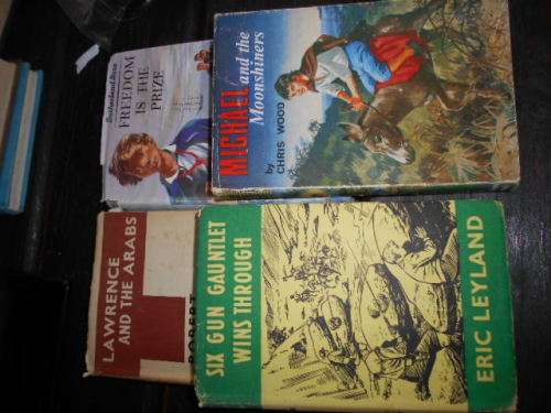 4 BOOKS:  MICHAEL and MOONSHINERS, FREEDOM THE PRIZE, 6 GUN GAUNTLET, LAWRENCE and THE ARABS