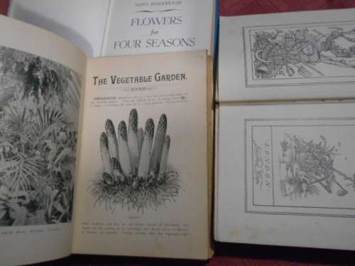 3 BOOKS - FLOWERS  FOUR SEASONS, GARDEN PATH and GUIDE HORTICULTURE 1898 UITENHAGE