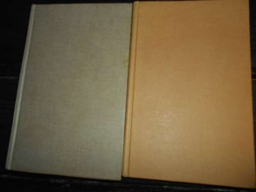 2BOOKS -  EM SLATTER - MY LEAVES ARE GREEN and  MICHAEL DRIN - MCKILTYS BRIDE