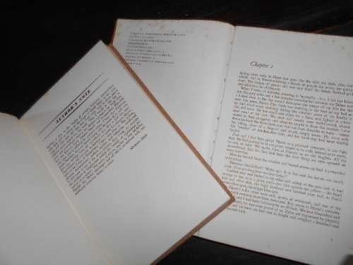 2BOOKS -  EM SLATTER - MY LEAVES ARE GREEN and  MICHAEL DRIN - MCKILTYS BRIDE