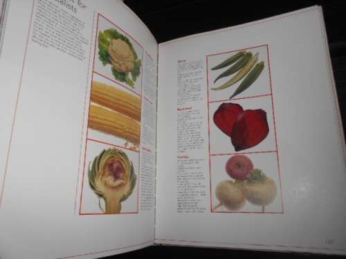 ARNOLD ZABERT - COOKING - THE NEW WAY TO SUCCESS - ART OF COOKING  ILLUS