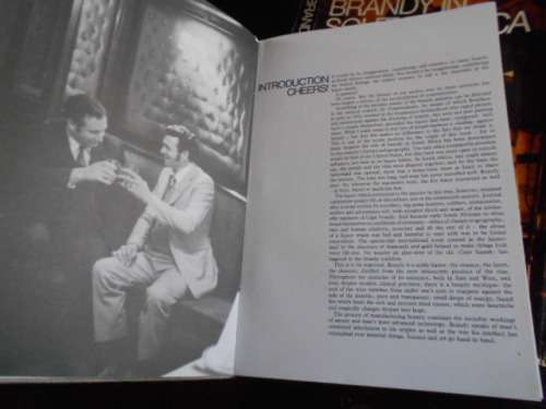 ANDRE P BRINK -  BRANDY IN SOUTH AFRICA -  HISTORY ETC. 1973 BUREN
