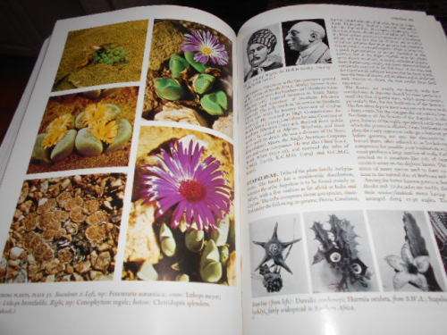 SESA - STANDARD ENCYCLOPAEDIA OF SOUTHERN AFRICA  -  6 OUT OF 12 VOLUMES