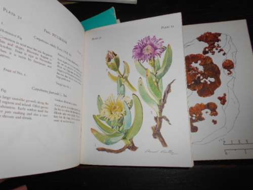 3 TSITSIKAMA NATIONAL COASTAL  PARK BOOKS  SEAWEEDS, FISHES, FLOWERING PLANTS