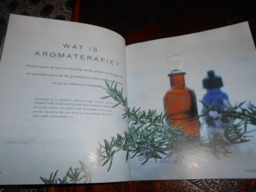 MAKLIKE AROMATERAPIE- GIDS VIR OUD EN JONK - HELEN RANGER