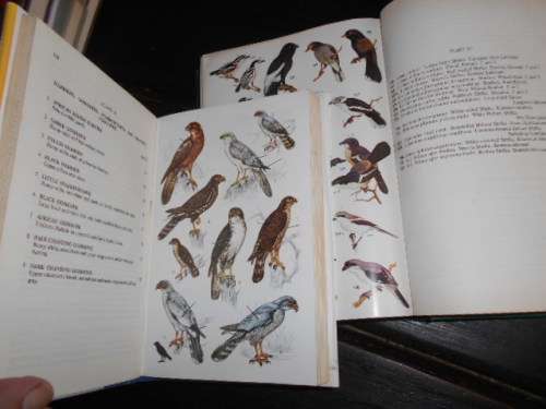 2 bird books - Roberts birds of south Africa and Birds of Southern Africa Field Guide