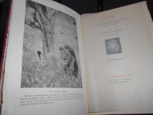 LION: King of Beasts African Adventure - Martin Johnson, 1929-1st  ed. illus