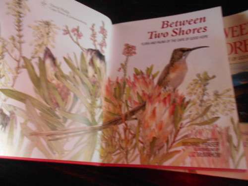 BETWEEN TWO SHORES -  lovely ILLUS LIZ MCMAHON - TEXT MICHAEL FRASER 1994  HARDB.