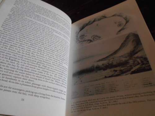 ARDERNE TREDGOLD - BAY BETWEEN THE MOUNTAINS - 1st ed. (False Bay)