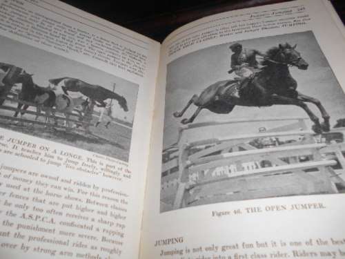THE HORSEMAN`S ENCYCLOPEDIA - Margaret Cabell Self - AS Barnes & Company hardback